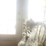 ウェディングブーケ・ブートニア